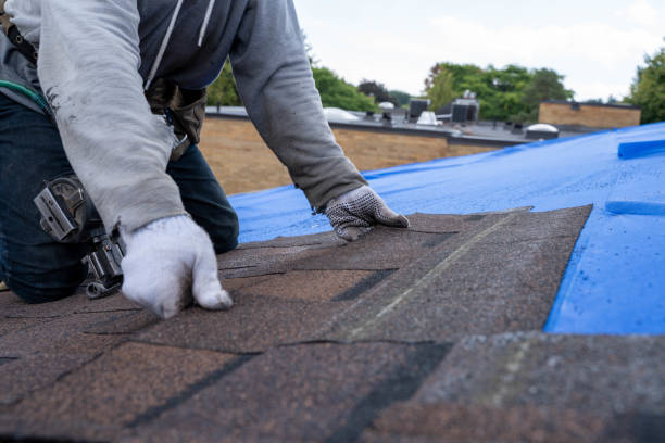 Trusted Gillespie, IL Roofing Contractor Experts