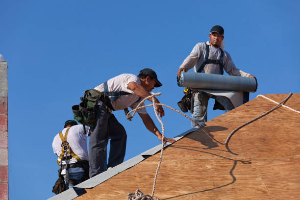 Best Gutter Installation and Roofing  in Glespie, IL
