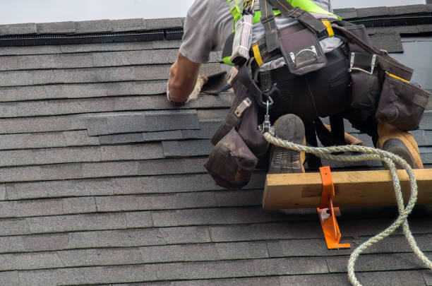 Best Local Roofing Companies  in Glespie, IL