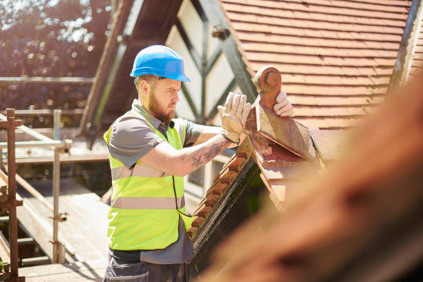 Best Roof Gutter Cleaning  in Glespie, IL
