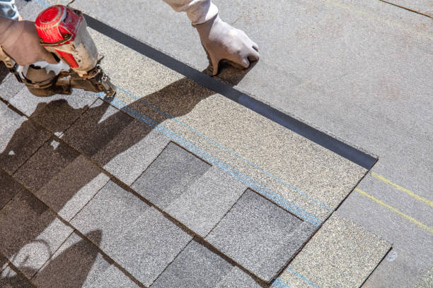Best Shingle Roofing Installation  in Glespie, IL